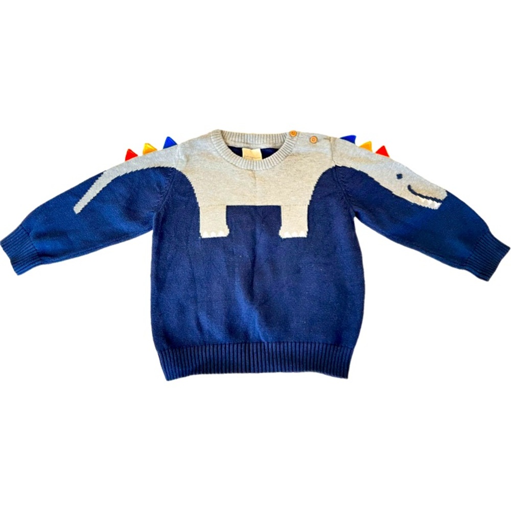 Cute dinosaur sweater with spikes